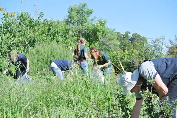Forrest-Deaner Native Plant Botanical Garden