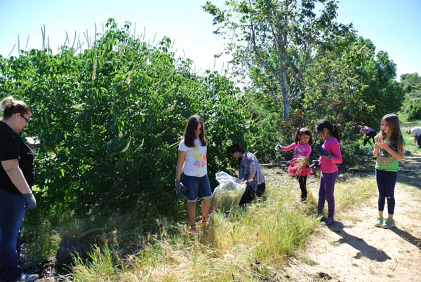 Forrest-Deaner Native Plant Botanical Garden