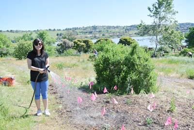 Forrest-Deaner Native Plant Botanical Garden