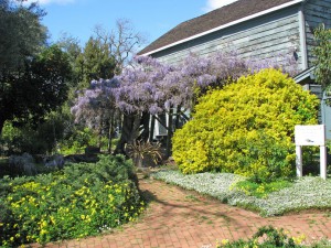 FHH-Garden